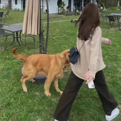 黑猫警长